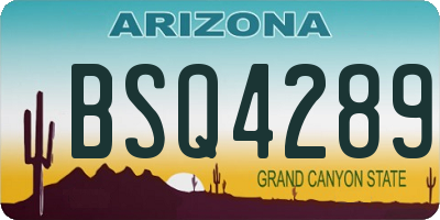 AZ license plate BSQ4289