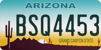 AZ license plate BSQ4453