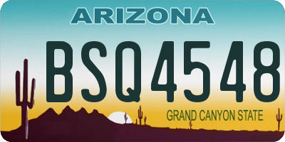 AZ license plate BSQ4548