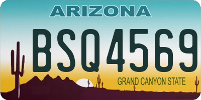 AZ license plate BSQ4569