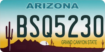AZ license plate BSQ5230