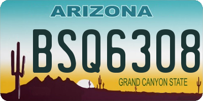 AZ license plate BSQ6308