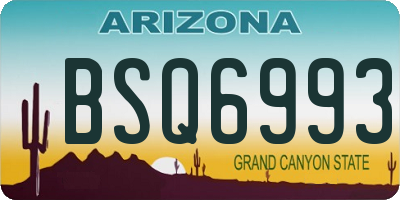 AZ license plate BSQ6993