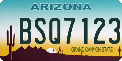 AZ license plate BSQ7123