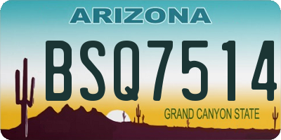 AZ license plate BSQ7514
