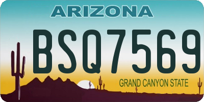 AZ license plate BSQ7569