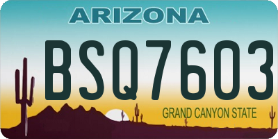 AZ license plate BSQ7603