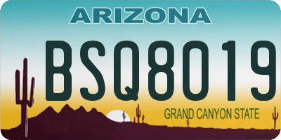 AZ license plate BSQ8019
