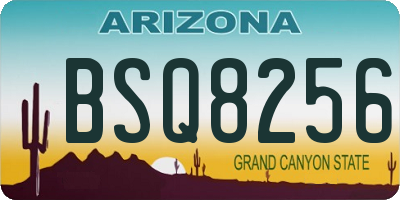 AZ license plate BSQ8256