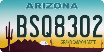 AZ license plate BSQ8302