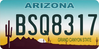 AZ license plate BSQ8317