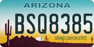 AZ license plate BSQ8385