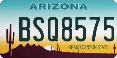 AZ license plate BSQ8575