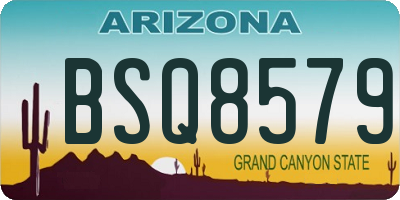 AZ license plate BSQ8579