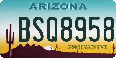 AZ license plate BSQ8958