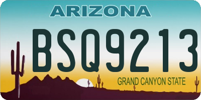 AZ license plate BSQ9213