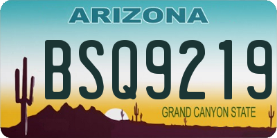 AZ license plate BSQ9219