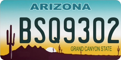 AZ license plate BSQ9302
