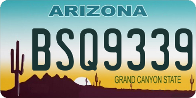 AZ license plate BSQ9339