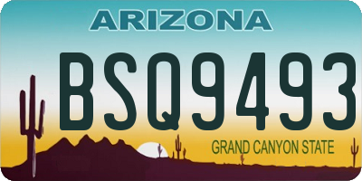 AZ license plate BSQ9493