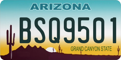 AZ license plate BSQ9501