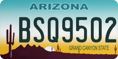 AZ license plate BSQ9502