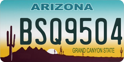 AZ license plate BSQ9504