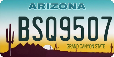 AZ license plate BSQ9507