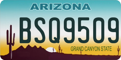 AZ license plate BSQ9509