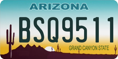 AZ license plate BSQ9511