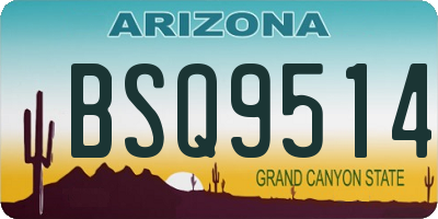 AZ license plate BSQ9514