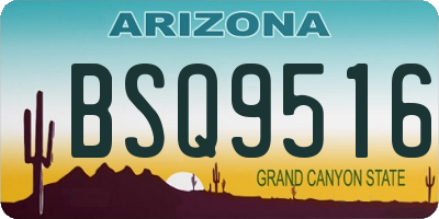 AZ license plate BSQ9516