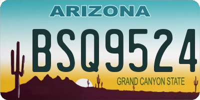 AZ license plate BSQ9524