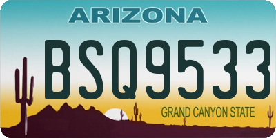 AZ license plate BSQ9533