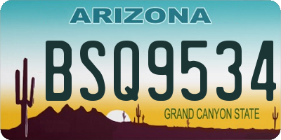 AZ license plate BSQ9534