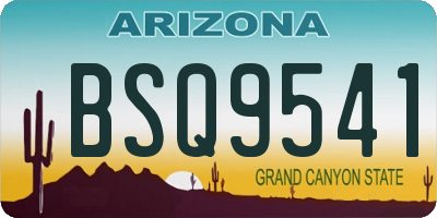 AZ license plate BSQ9541