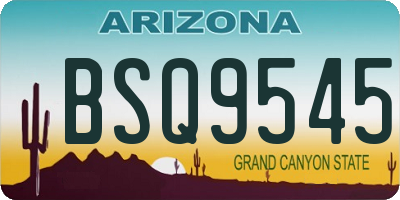 AZ license plate BSQ9545