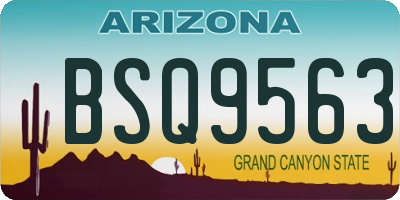 AZ license plate BSQ9563