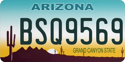 AZ license plate BSQ9569