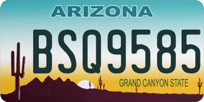 AZ license plate BSQ9585