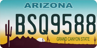 AZ license plate BSQ9588