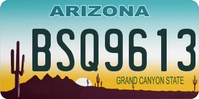 AZ license plate BSQ9613