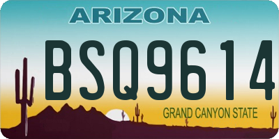 AZ license plate BSQ9614