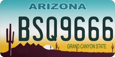 AZ license plate BSQ9666