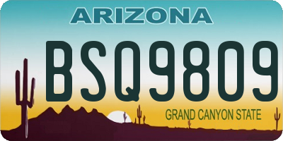 AZ license plate BSQ9809