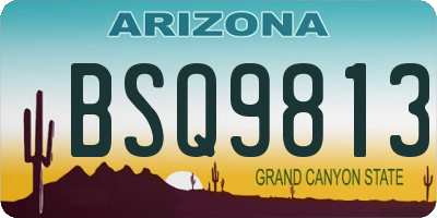 AZ license plate BSQ9813