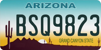 AZ license plate BSQ9823