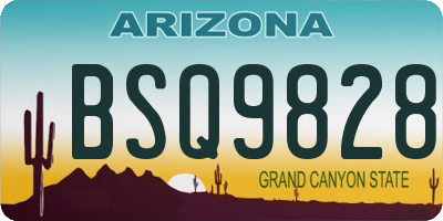 AZ license plate BSQ9828