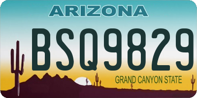 AZ license plate BSQ9829