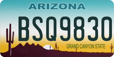 AZ license plate BSQ9830